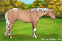 Horse Color:Silver Amber Champagne Tobiano Rabicano 