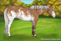 Horse Color:White Spotted Silver Bay 
