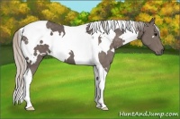 Horse Color:White Spotted Silver Black Tobiano 