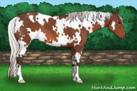Horse Color:White Spotted Silver Brown 