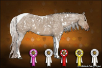 Horse Color:White Spotted Silver Brown Ice Dun Tobiano