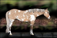 Horse Color:White Spotted Silver Bay Ice Dun Sabino 