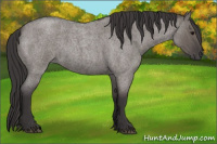 Horse Color:Smoky Grullo Roan 