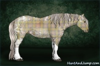 Horse Color:Plaid  Silver Black Ice Tobiano 