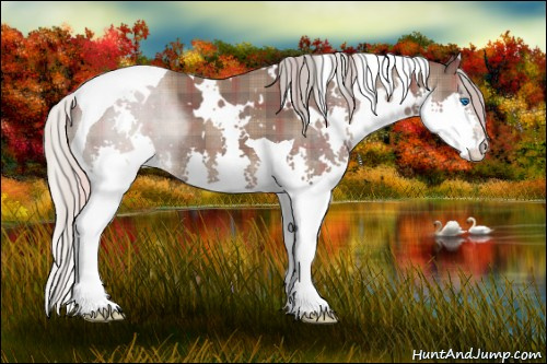 Horse Color: Plaid  White Spotted Silver Brown Splash Tobiano 