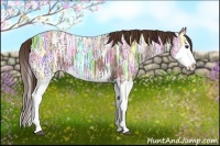 Horse Color:Liver Chestnut Ice Splash 