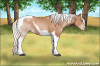Horse Color:Silver Brown Pearl Tobiano 