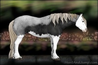 Horse Color:Liver Chestnut Ice Splash 