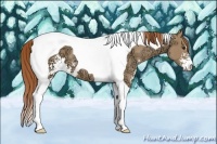 Horse Color:Red Dun Ice Sabino Tobiano 