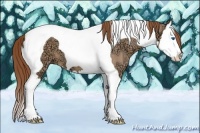 Horse Color:Red Dun Ice Splash Tobiano 