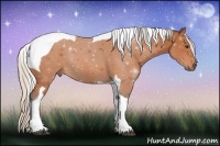 Horse Color:Silver Bay Tobiano Rabicano