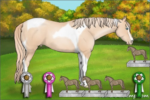 Horse Color: Gold Champagne Pearl Sabino Tobiano 