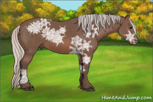Horse Color: Silver Black Ice Sabino 