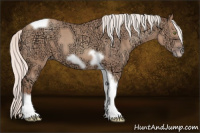 Horse Color:Silver Sable Champagne Ice Tobiano Frame 