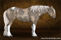 Horse Color:Silver Bay Ice Pearl Dun Tobiano 