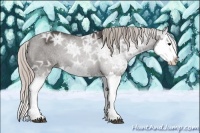Horse Color:Silver Blue Ice Roan Splash 