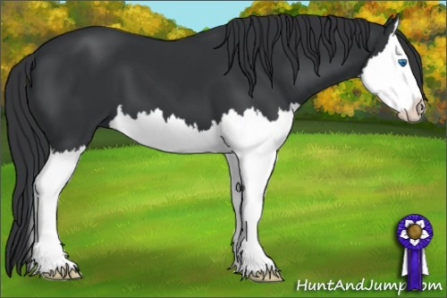 Horse Color: Black Splash 