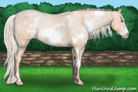Horse Color:White Spotted Chocolate Palomino Pearl Frame Varnish 