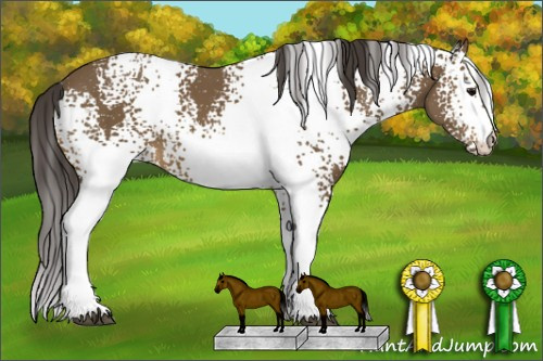 Horse Color: White Spotted Buckskin 