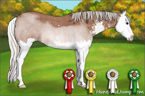Horse Color: Silver Bay Roan Sabino Splash 