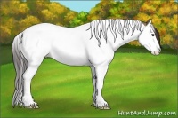 Horse Color:Buckskin Dun Splash Tobiano 