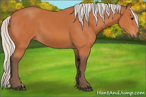 Horse Color: Silver Bay 