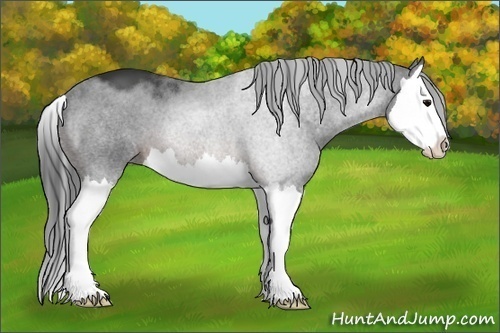 Horse Color:Brown Splash 