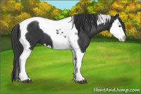 Horse Color:Brown Splash Tobiano 