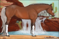 Horse Color:Silver Bay 