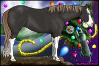 Horse Color:Liver Chestnut Splash 