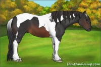 Horse Color:Brown Tobiano 