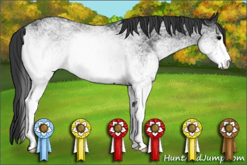 Horse Color: White Spotted Black Rabicano 