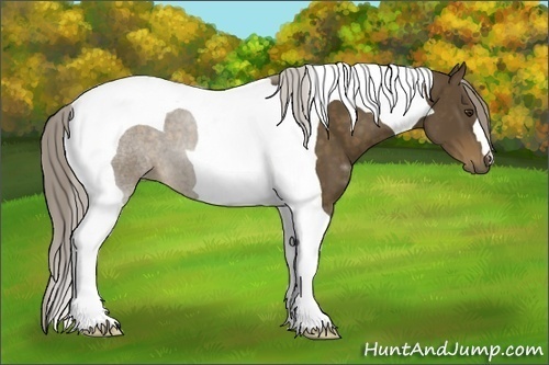 Horse Color: Chocolate Palomino Tobiano 