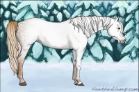 Horse Color:Gray Chestnut