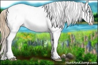 Horse Color:Smoky Black Pearl Frame Appaloosa 