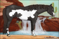 Horse Color:Liver Chestnut Frame 