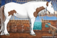 Horse Color:Chestnut Splash Tobiano