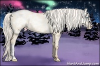 Horse Color:Silver Buckskin Ice Pearl Dun Brindle
