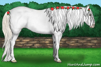 Horse Color:Palomino Dun Sabino Tobiano Leopard 