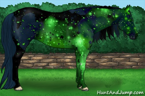Horse Color: ERROR: UNKNOWN ANOMALY