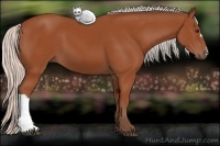 Horse Color:Silver Bay 