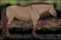 Horse Color:Liver Red Dun 