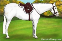 Horse Color:White Spotted Palomino Tobiano Frame Appaloosa 