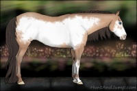 Horse Color:Amber Champagne Frame 