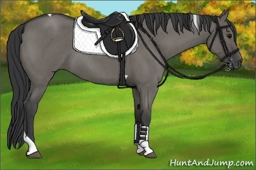 Horse Color:Grullo Roan Tobiano 