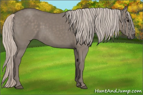 Horse Color: Silver Grullo 