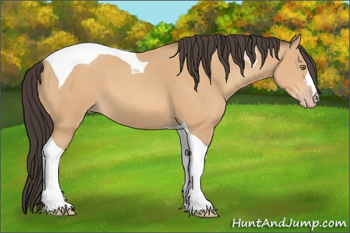 Horse Color: Amber Champagne Tobiano 