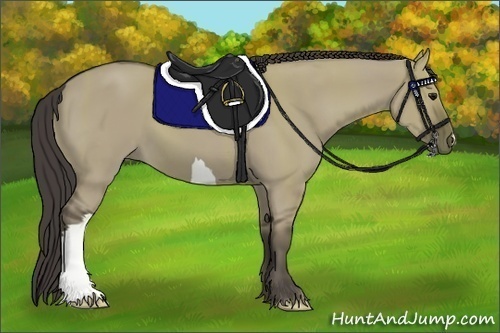 Horse Color:Smoky Grullo 
