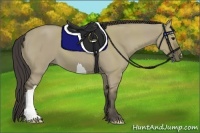 Horse Color:Smoky Grullo 