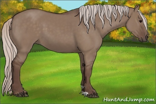 Horse Color: Silver Grullo 